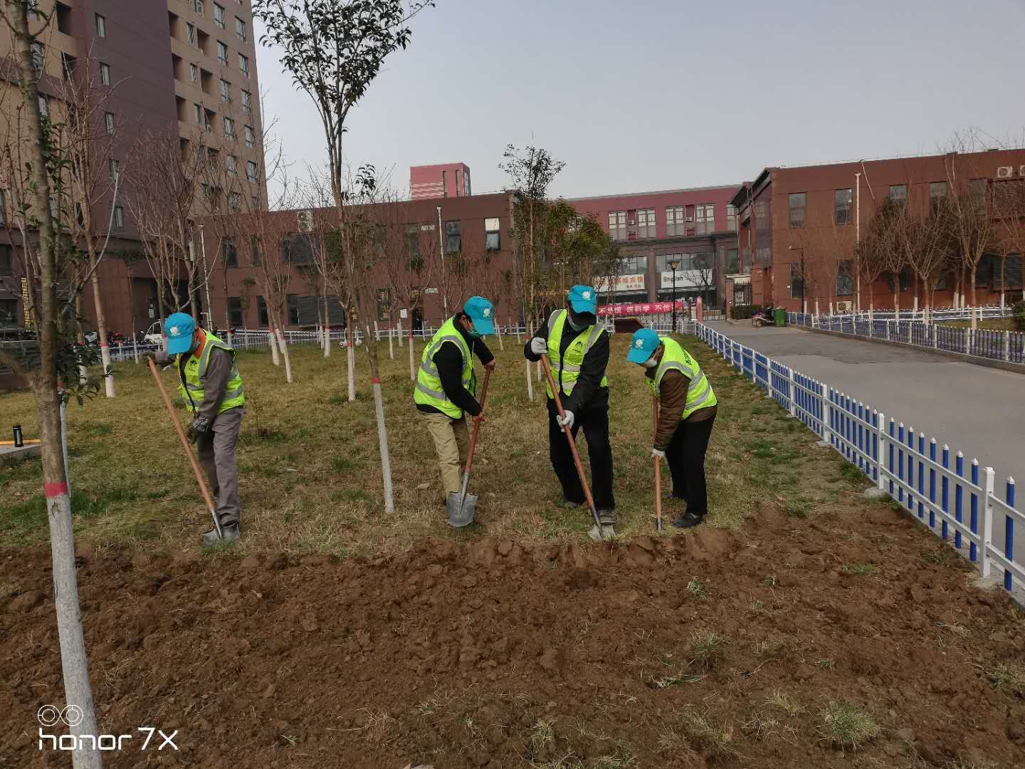 东越市政：开展秋季绿化养护 打造优美宜居环境