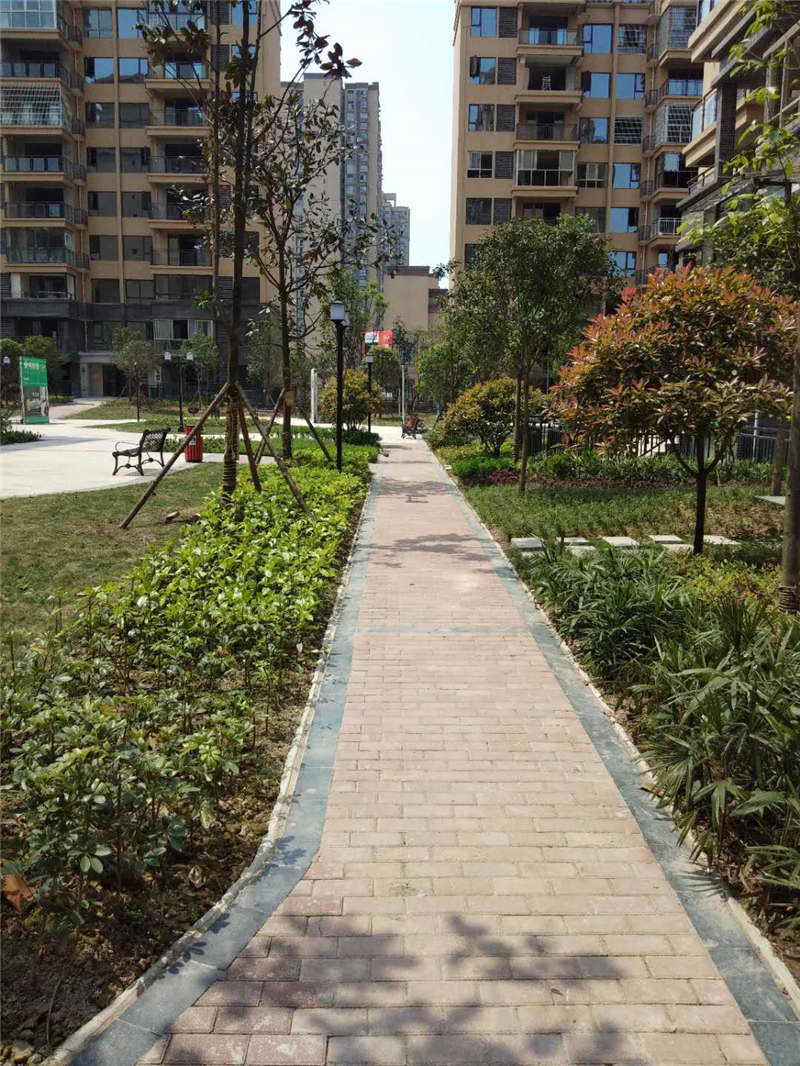 绿化工程在城市中如何进行