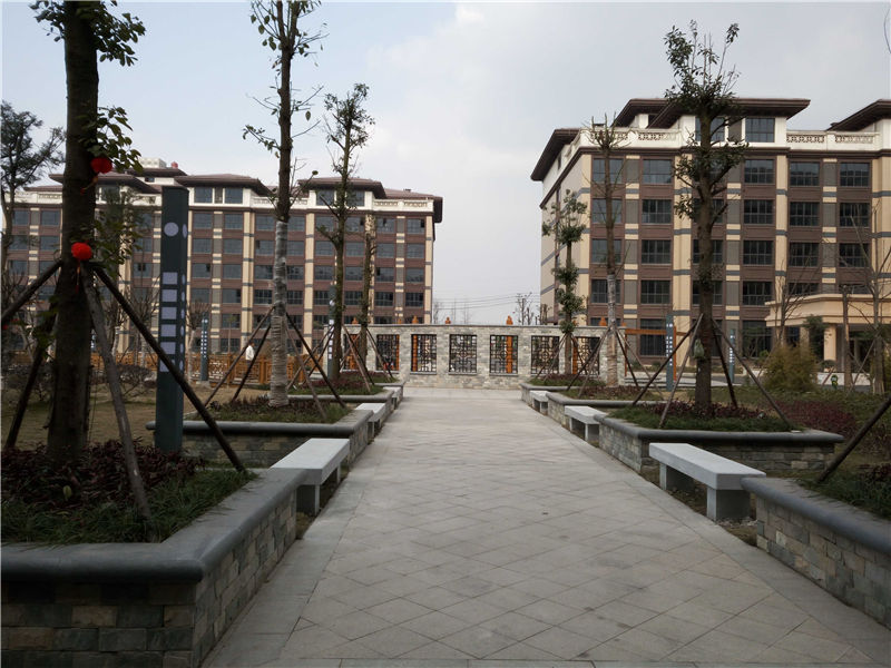 绿化工程中如何进步移栽后的成活率