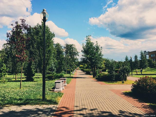 绿化补植忙，提升颜值不负“青