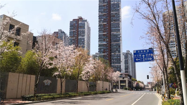 “十四五”上海公园将超千座，园林绿化行业的春天来了？