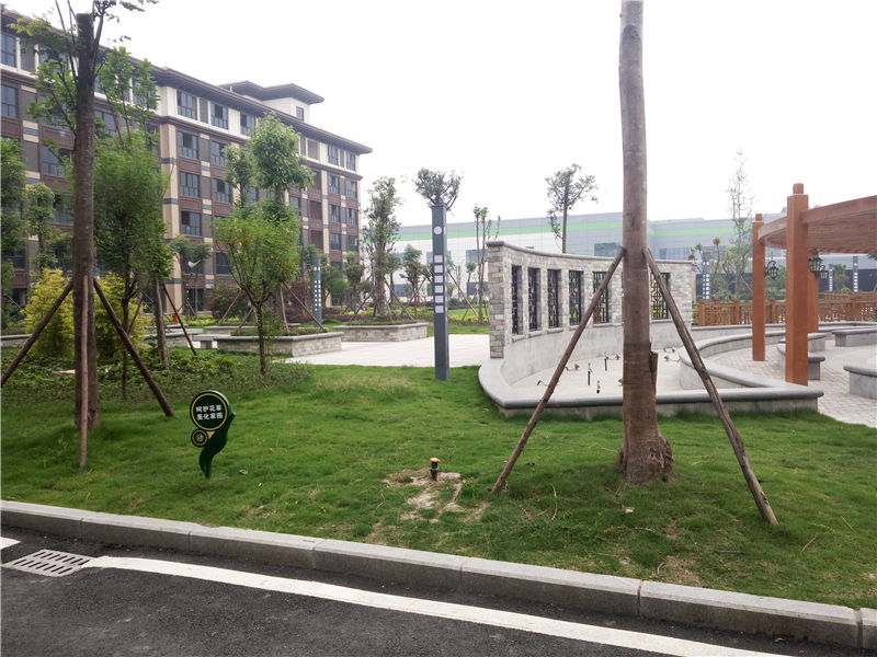 园林绿化施工中影响苗木成活的原因分析-影响树木成活的因素有哪些