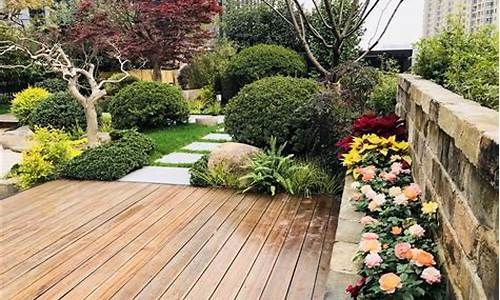 常见植物类外来入侵物种识别