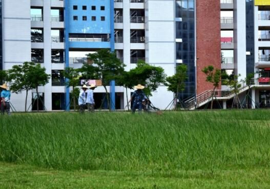 如何做好房地产园林绿化设计